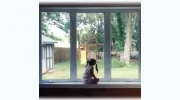 Designer Windows & Siding