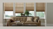 All Window Artisan