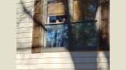 Window Film Depot