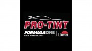 Professional Tint